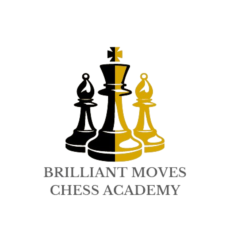 Blue_and_Gray_Illustrative_Chess_Club_Logo-removebg-preview (1)